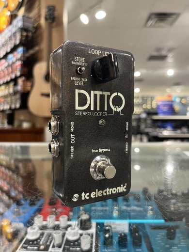 TC Electronic DITTO+ LOOPER Next Generation 60-Minute Multi